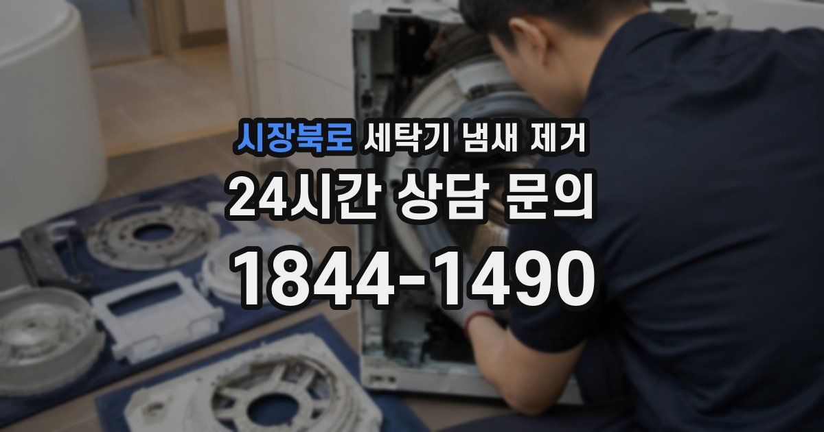 시장북로 세탁기 냄새 제거
