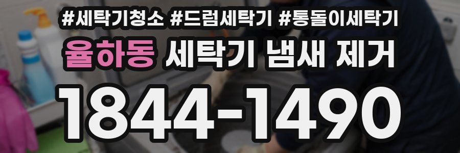 율하동 세탁기 냄새 제거