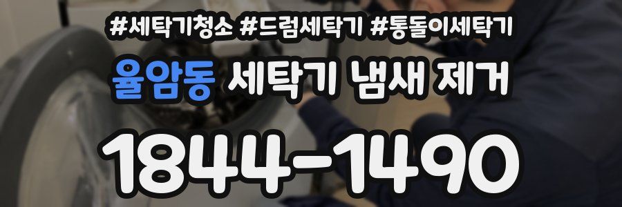 율암동 세탁기 냄새 제거