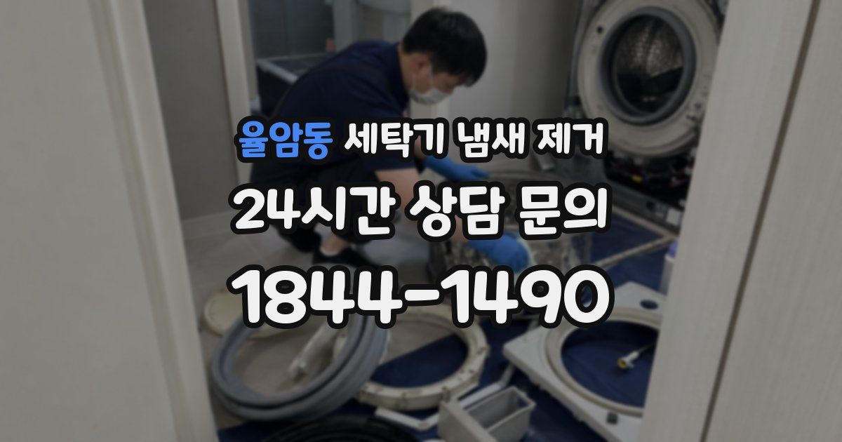 율암동 세탁기 냄새 제거