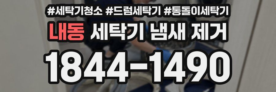 내동 세탁기 냄새 제거