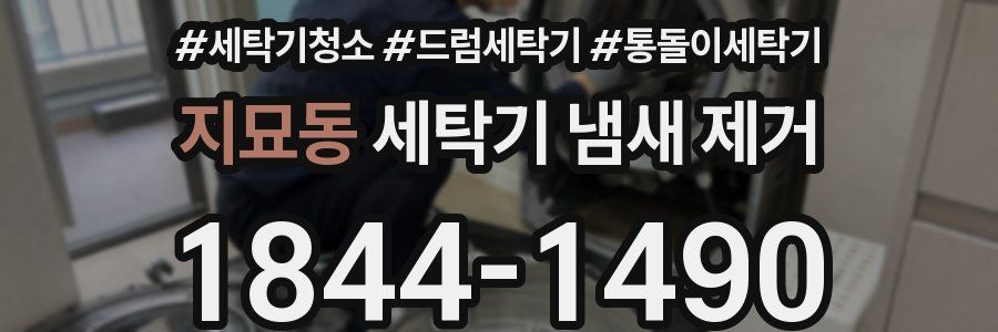 지묘동 세탁기 냄새 제거