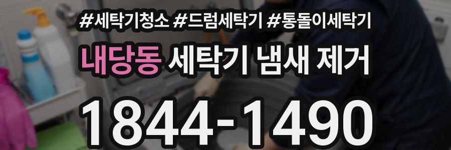 내당동 세탁기 냄새 제거