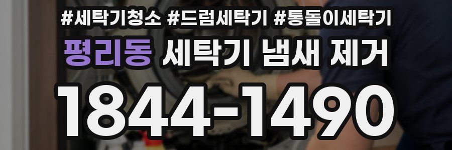 평리동 세탁기 냄새 제거