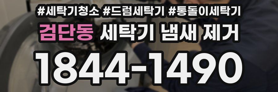 검단동 세탁기 냄새 제거
