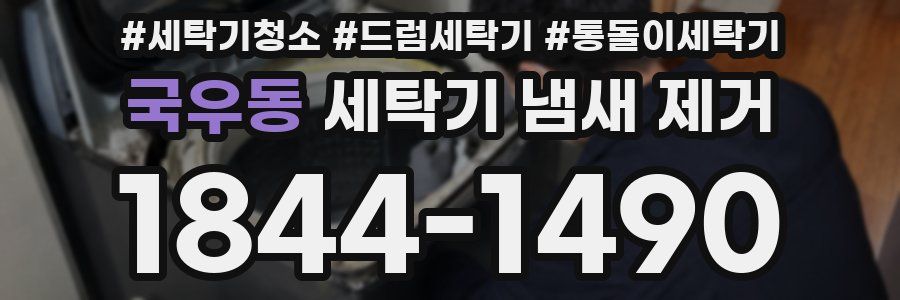 국우동 세탁기 냄새 제거