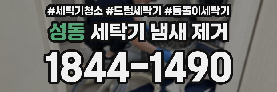 성동 세탁기 냄새 제거