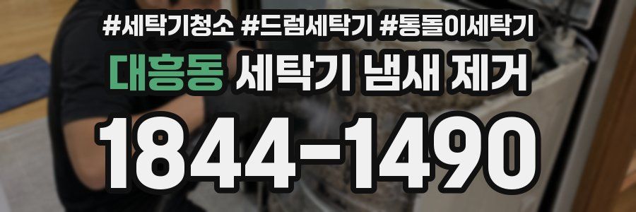 대흥동 세탁기 냄새 제거