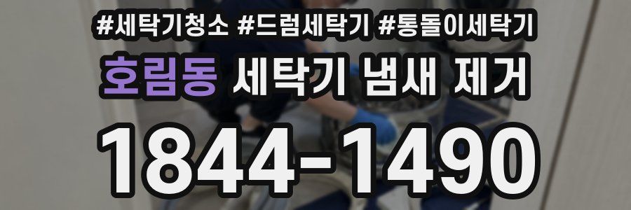호림동 세탁기 냄새 제거