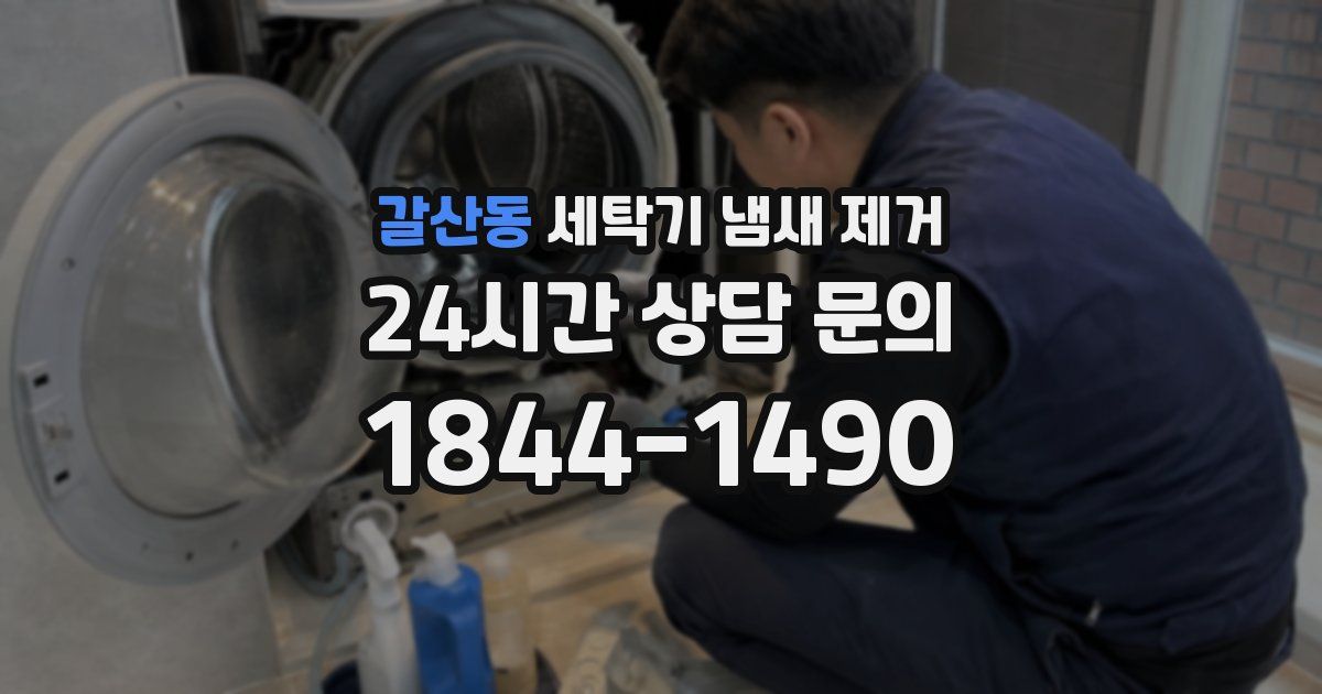 갈산동 세탁기 냄새 제거