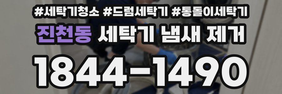 진천동 세탁기 냄새 제거