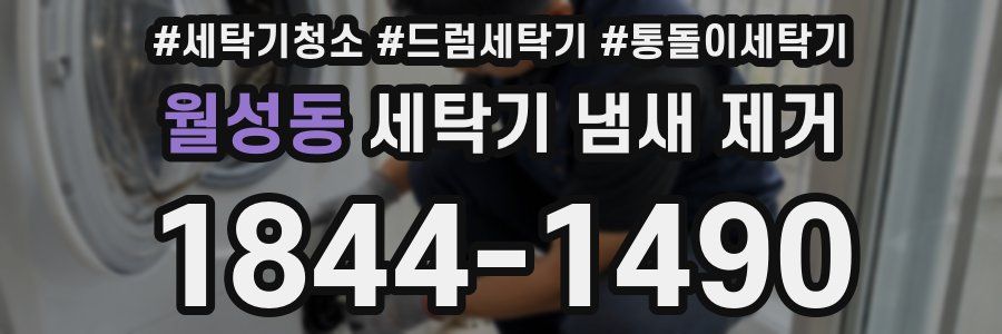 월성동 세탁기 냄새 제거