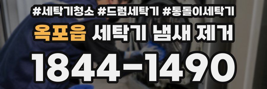 옥포읍 세탁기 냄새 제거
