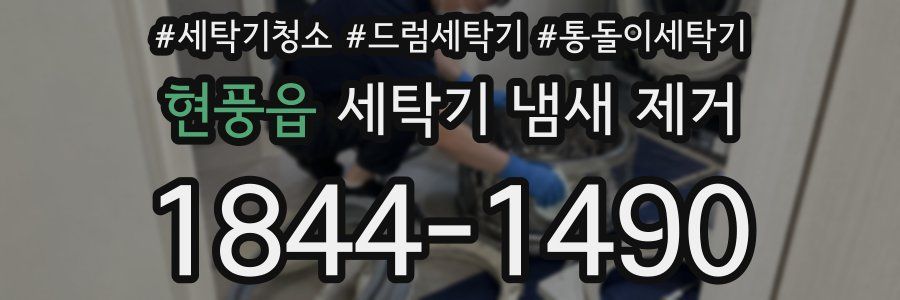 현풍읍 세탁기 냄새 제거