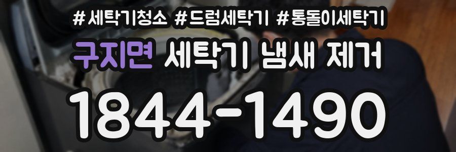 구지면 세탁기 냄새 제거