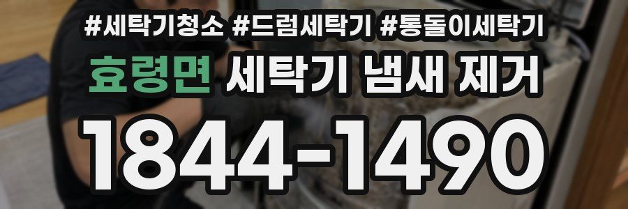 효령면 세탁기 냄새 제거