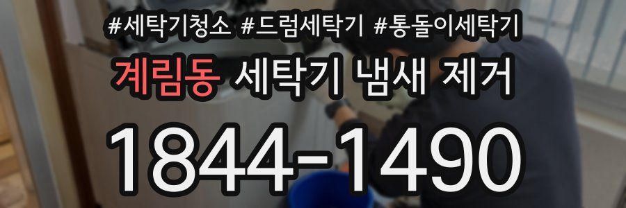 계림동 세탁기 냄새 제거
