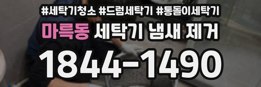 마륵동 세탁기 냄새 제거