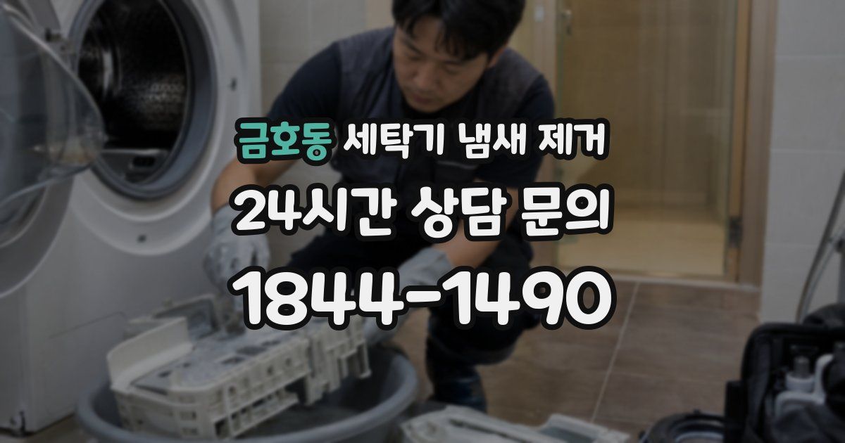 금호동 세탁기 냄새 제거