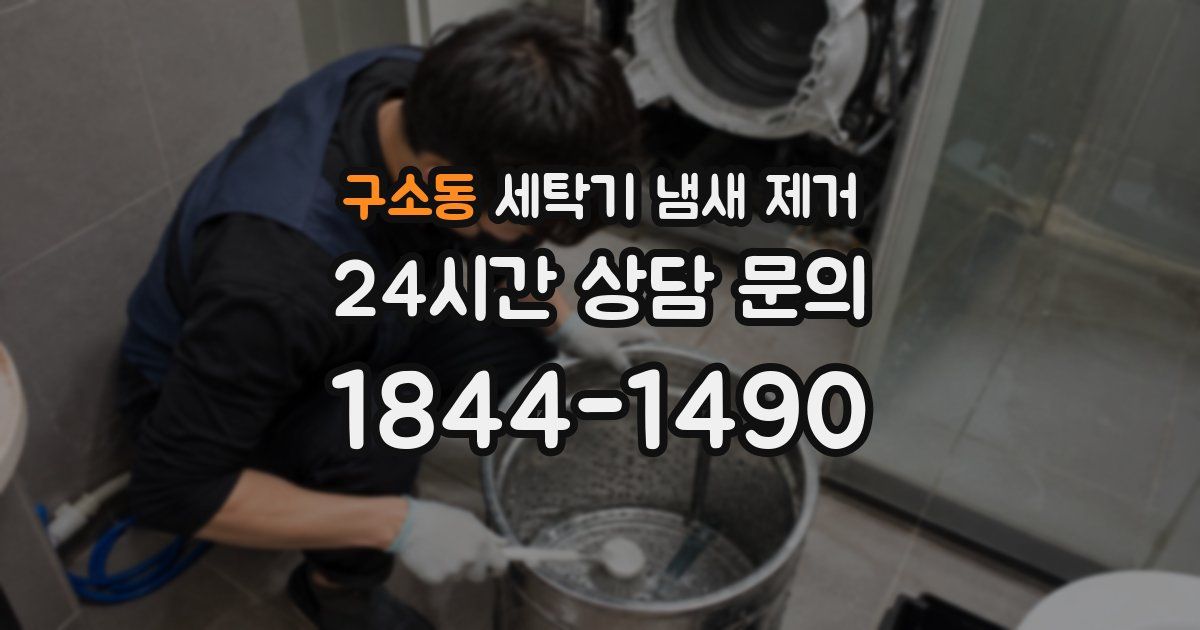 구소동 세탁기 냄새 제거