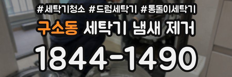 구소동 세탁기 냄새 제거