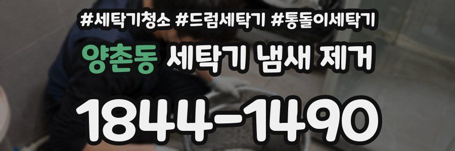양촌동 세탁기 냄새 제거