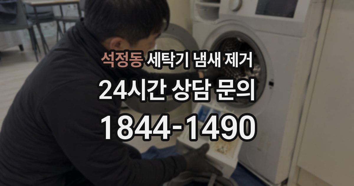 석정동 세탁기 냄새 제거