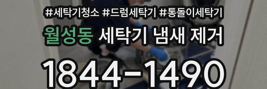 월성동 세탁기 냄새 제거