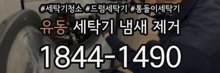 유동 세탁기 냄새 제거