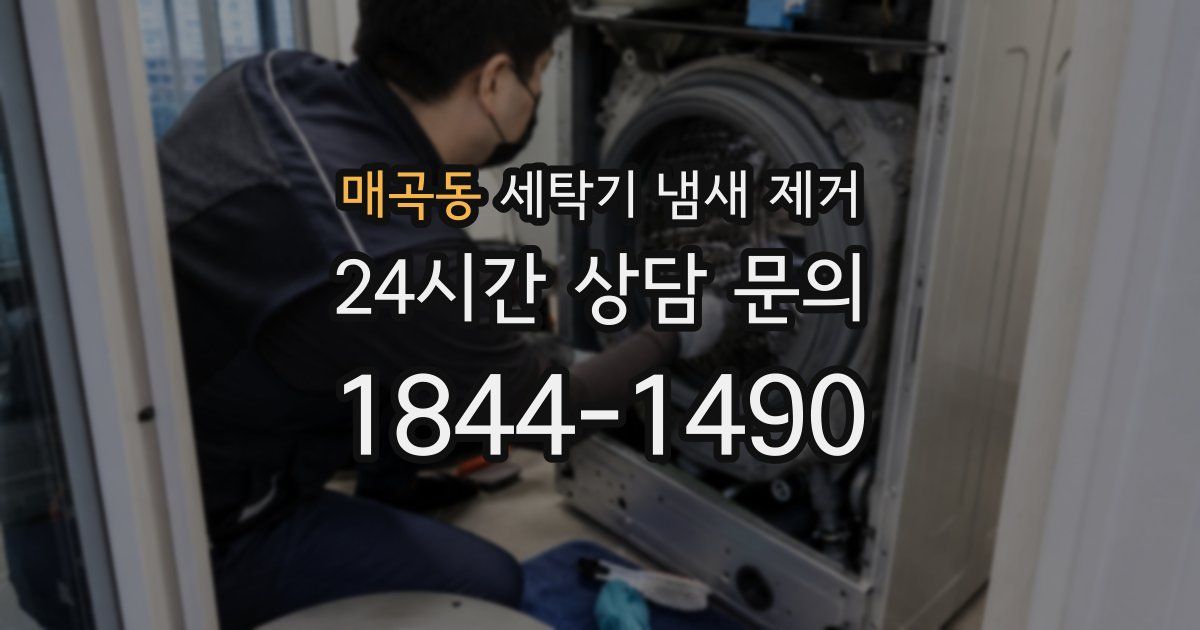 매곡동 세탁기 냄새 제거