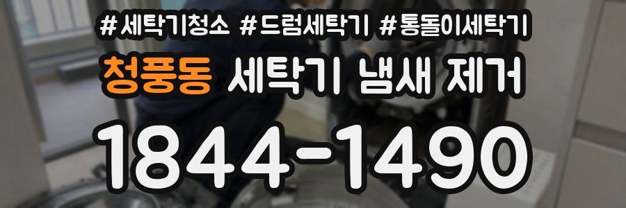 청풍동 세탁기 냄새 제거