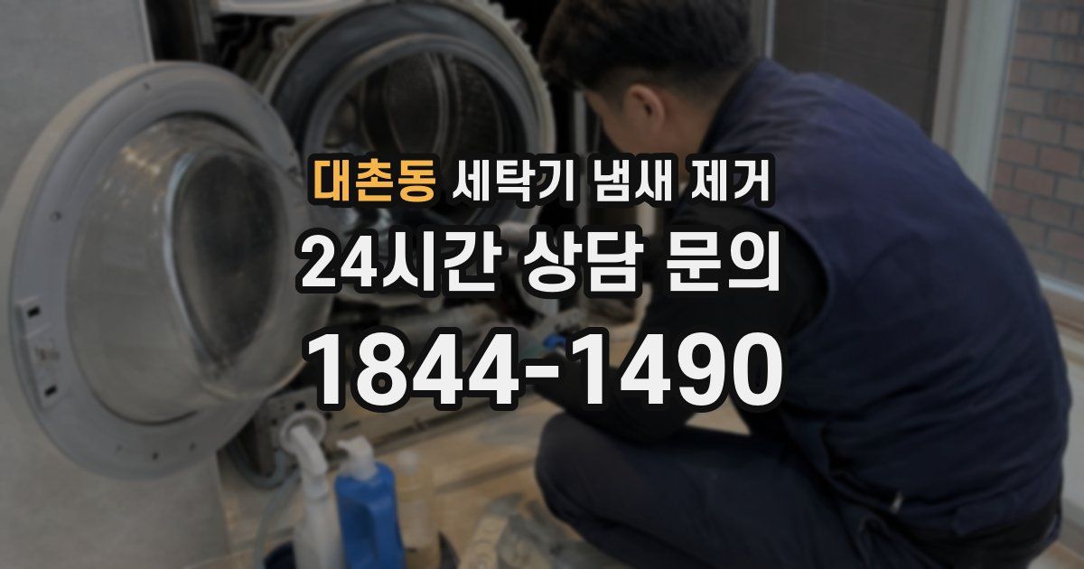 대촌동 세탁기 냄새 제거
