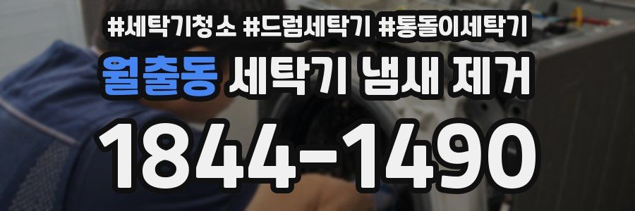 월출동 세탁기 냄새 제거