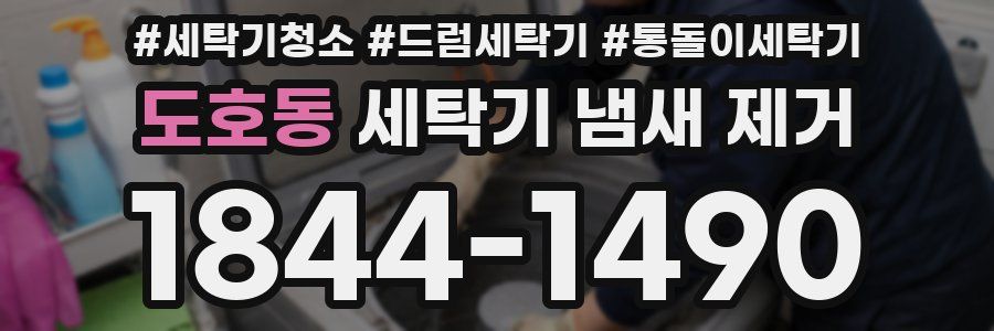 도호동 세탁기 냄새 제거
