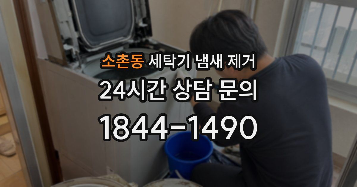 소촌동 세탁기 냄새 제거