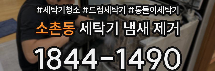 소촌동 세탁기 냄새 제거