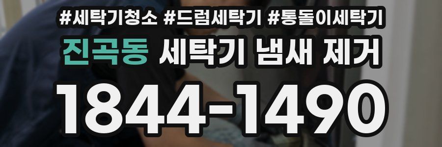 진곡동 세탁기 냄새 제거