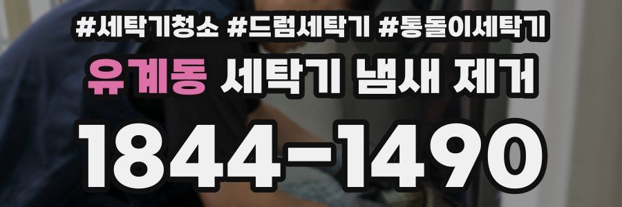 유계동 세탁기 냄새 제거