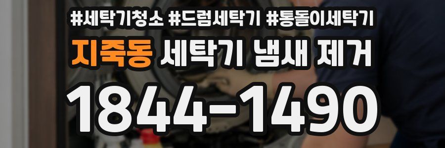 지죽동 세탁기 냄새 제거