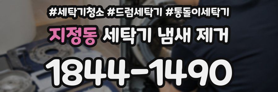 지정동 세탁기 냄새 제거