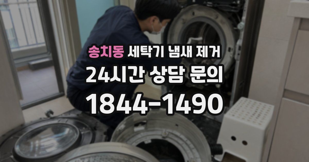 송치동 세탁기 냄새 제거
