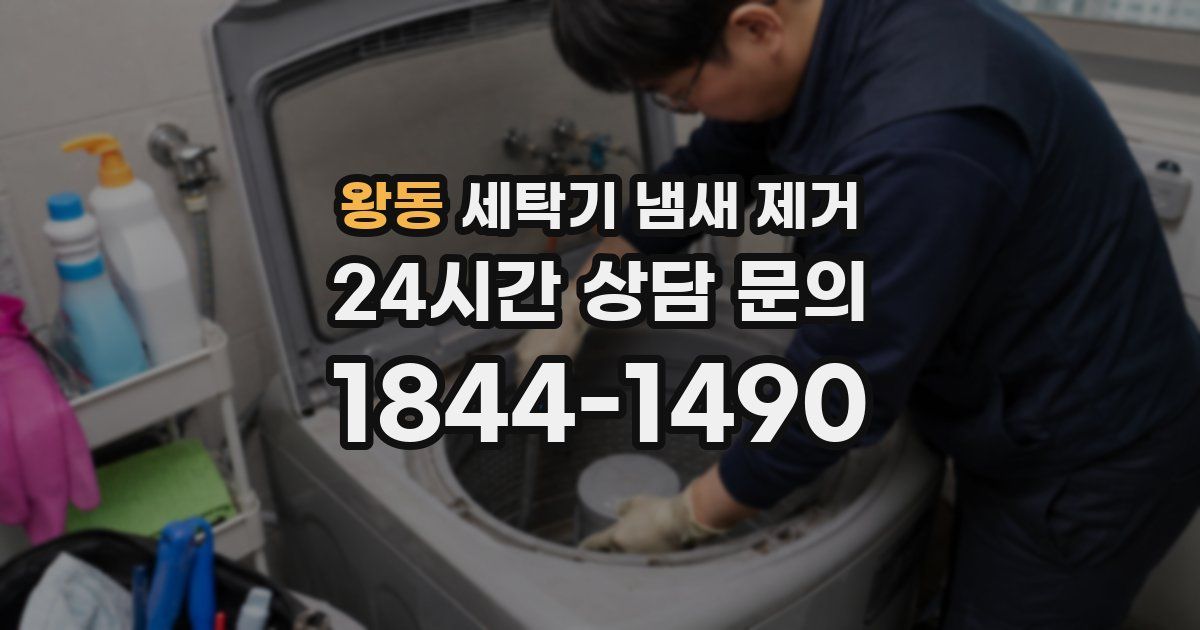 왕동 세탁기 냄새 제거