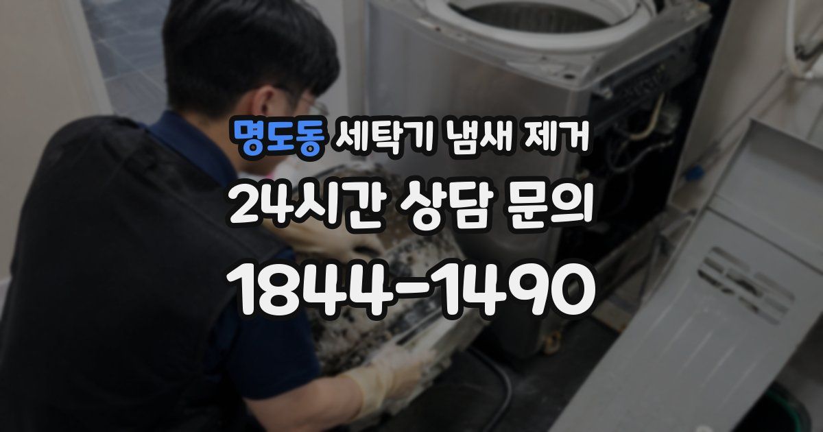 명도동 세탁기 냄새 제거
