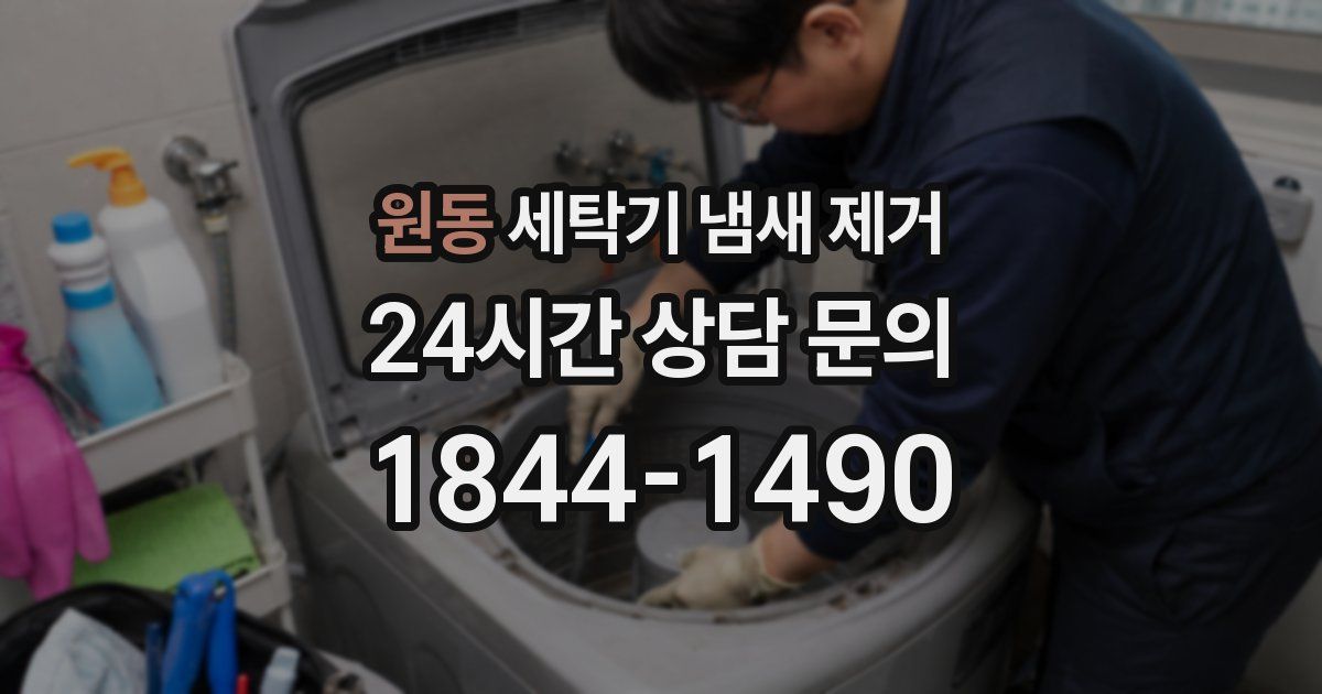 원동 세탁기 냄새 제거