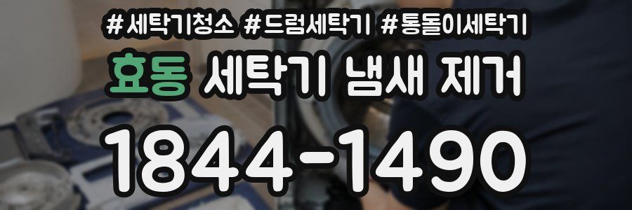 효동 세탁기 냄새 제거