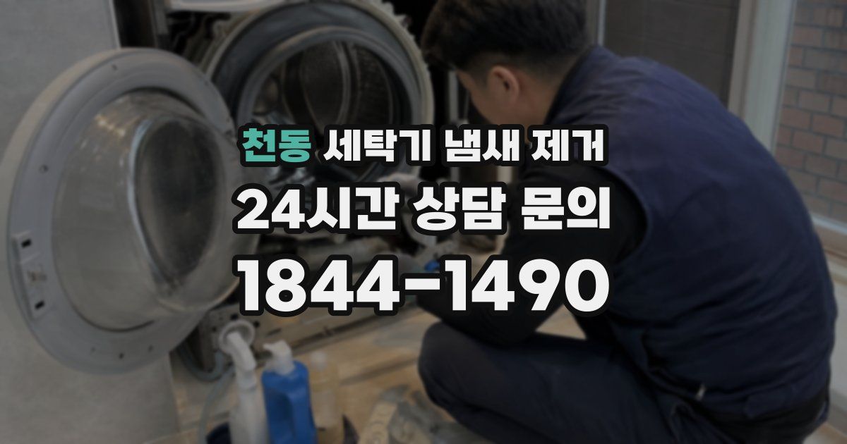 천동 세탁기 냄새 제거