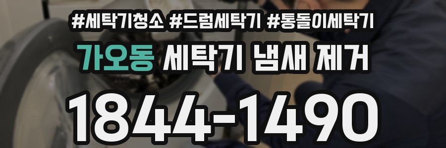 가오동 세탁기 냄새 제거