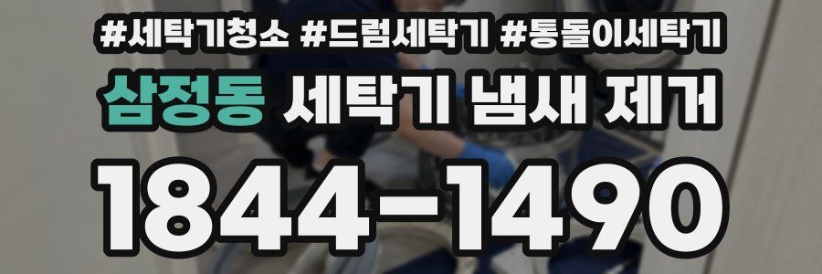 삼정동 세탁기 냄새 제거