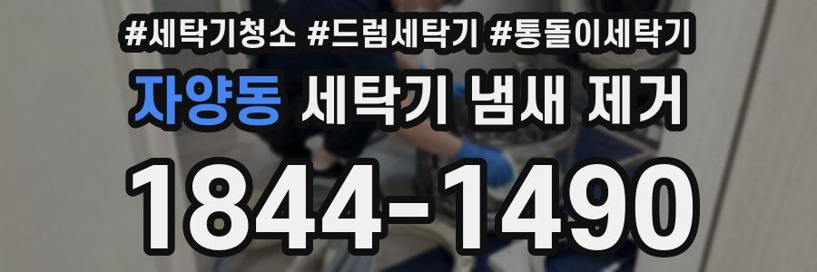 자양동 세탁기 냄새 제거