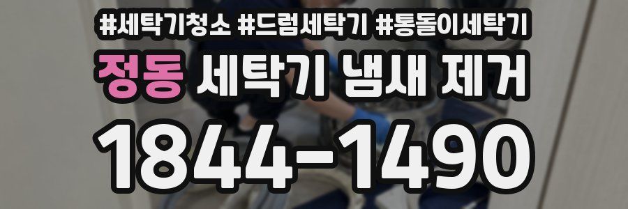 정동 세탁기 냄새 제거